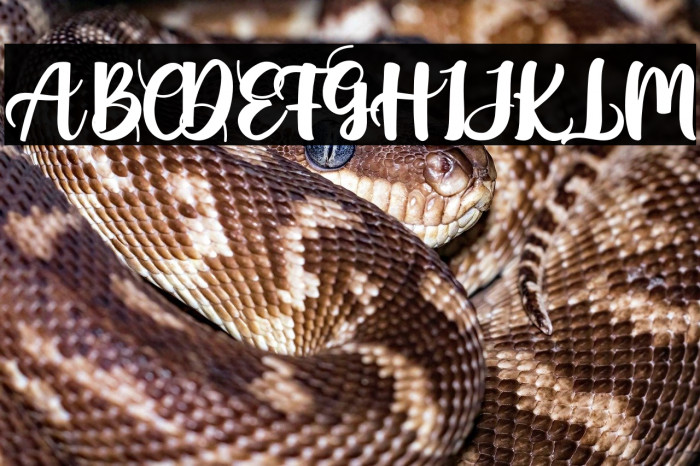 bluesfather Example 3