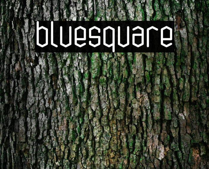 bluesquare Font examples