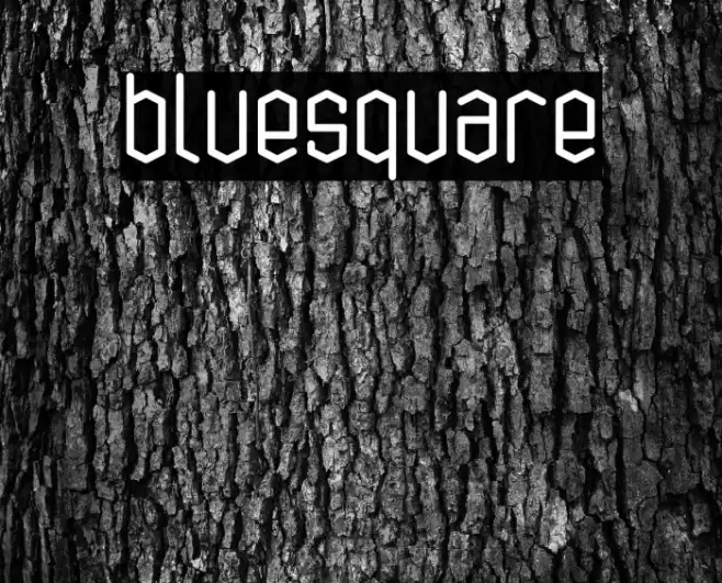 bluesquare Font examples