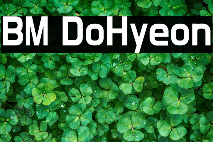 BM DoHyeon Example 1