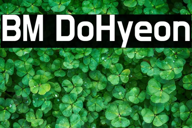 BM DoHyeon Example 1