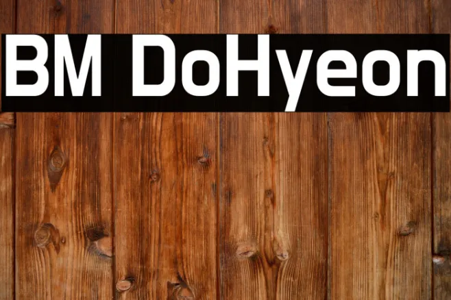 BM DoHyeon Example 2