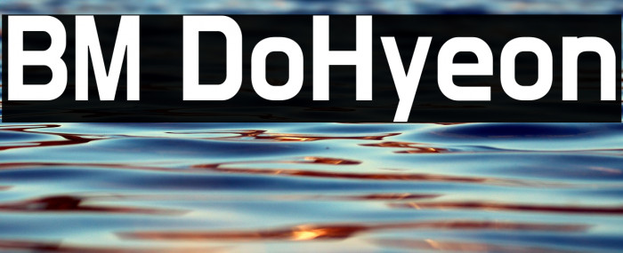 BM DoHyeon Example 3