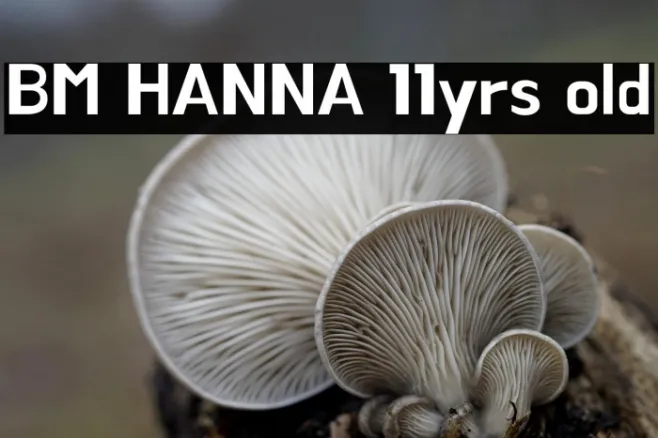 BM HANNA 11yrs old Example 1