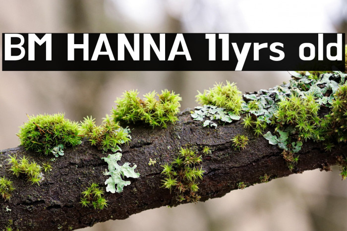 BM HANNA 11yrs old Example 3