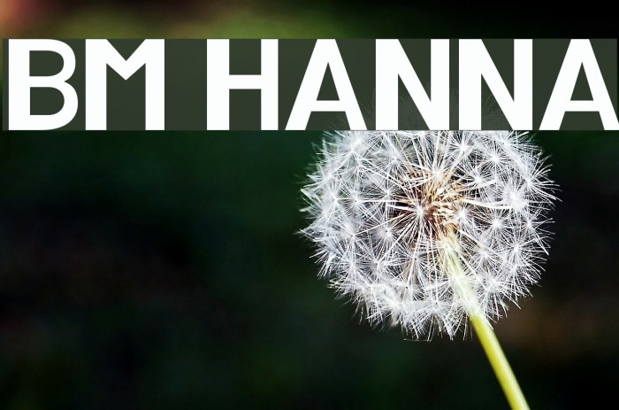 BM HANNA Font examples