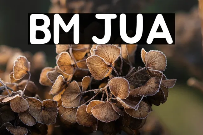 BM JUA Example 1