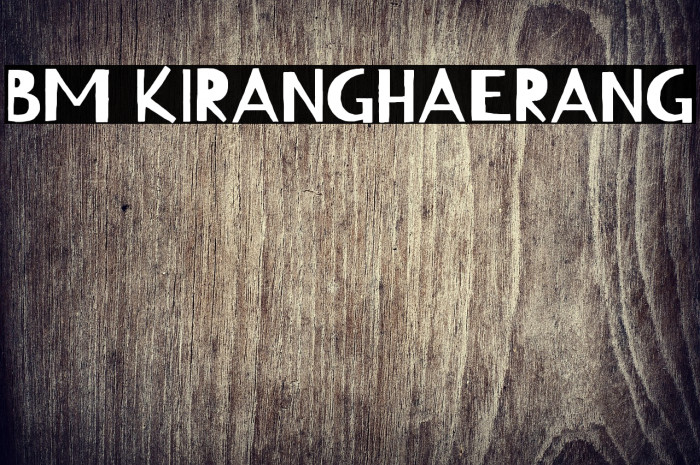 BM KIRANGHAERANG Example 3