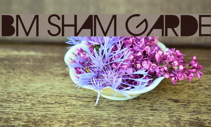 BM Sham Garde Font examples