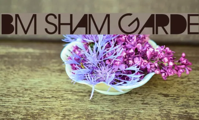 BM Sham Garde Example 1