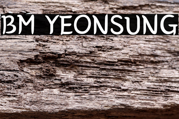 BM YEONSUNG Example 2