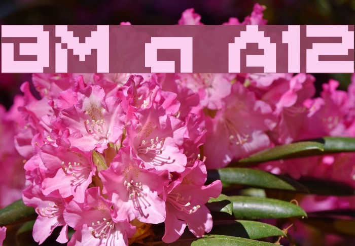 BM army A12 Font examples