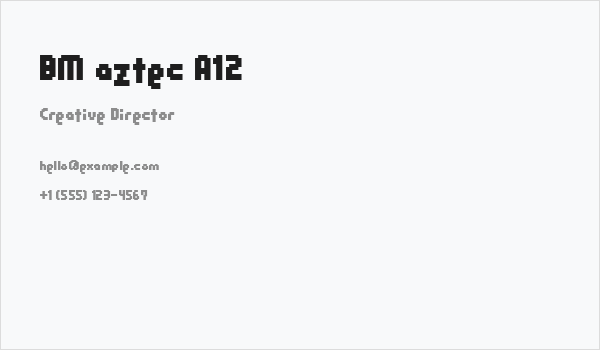 BM aztec A12 Business Card