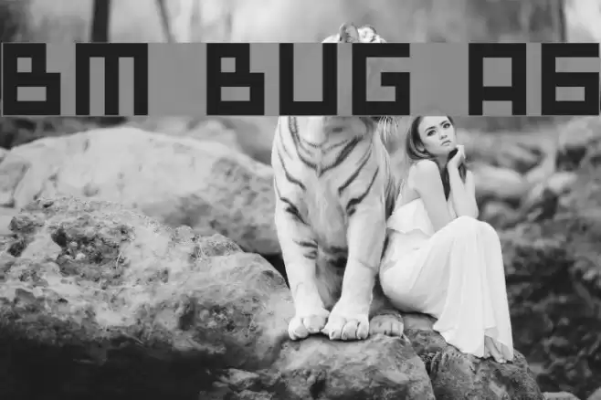 BM bug A6 Font examples