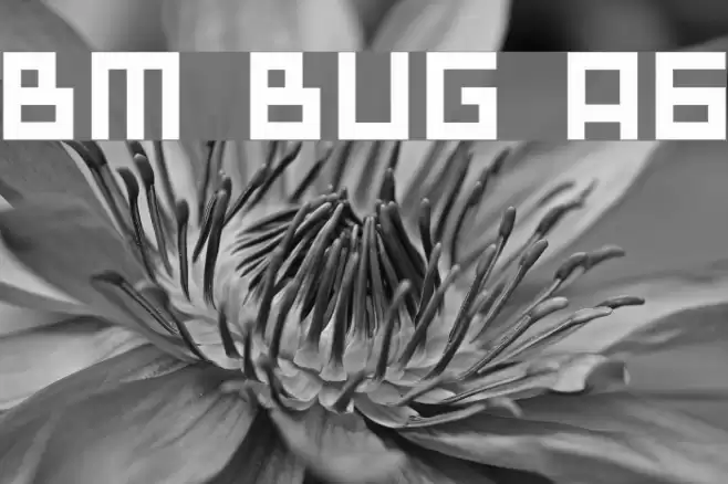 BM bug A6 Font examples