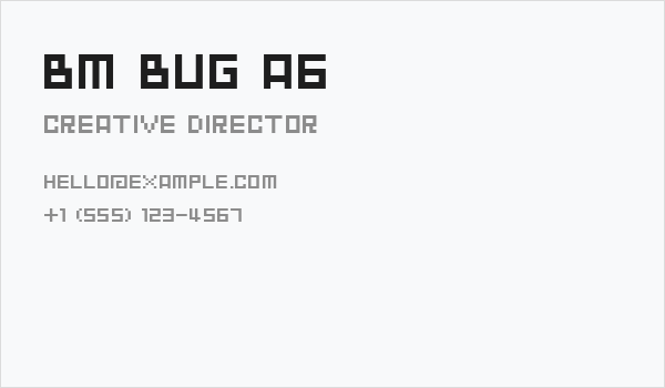 BM bug A6 Business Card