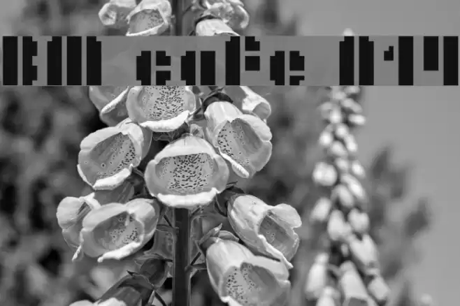 BM cafe A14 Caratteri examples