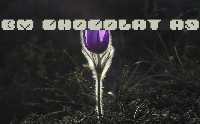 BM chocolat A9 Font examples