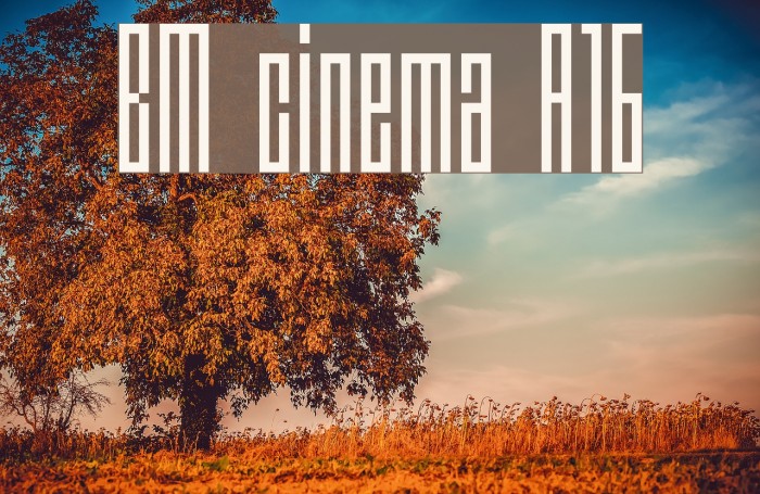 BM cinema A16 Font examples