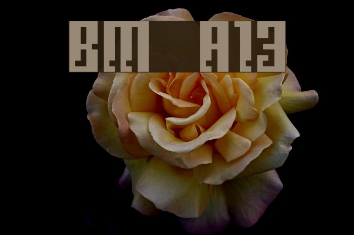 BM corrode A13 Font examples