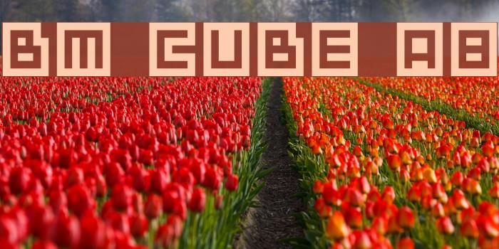 BM cube A8 Font examples