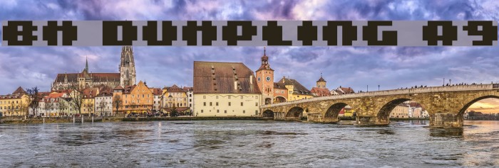 BM dumpling A9 Example 1