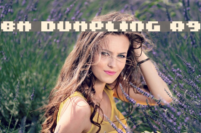 BM dumpling A9 Example 2