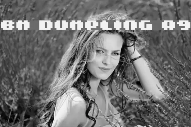 BM dumpling A9 Font examples