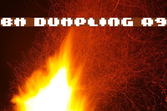 BM dumpling A9 Example 3