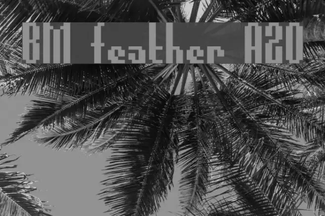 BM feather A20 Font examples