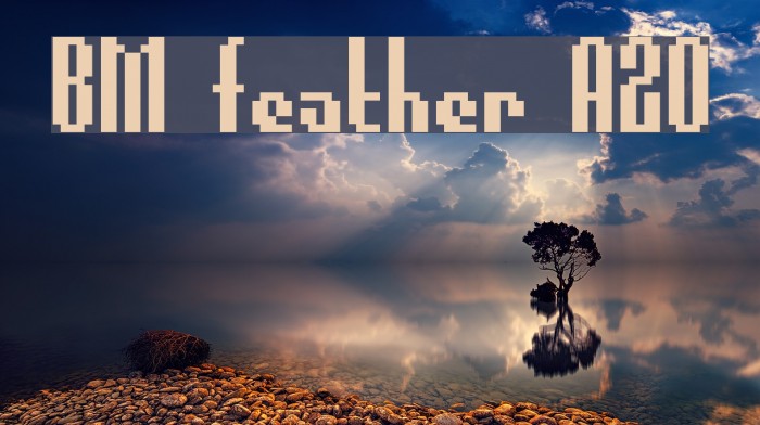 BM feather A20 Example 2