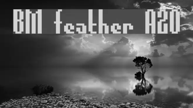 BM feather A20 Font examples