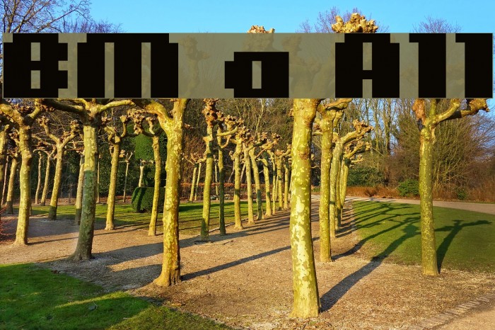BM figaro A11 Font examples
