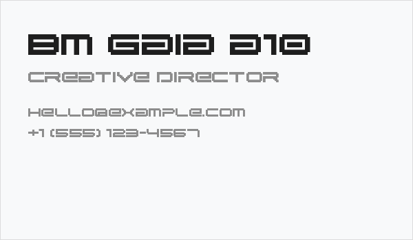 BM gaia A10 Business Card