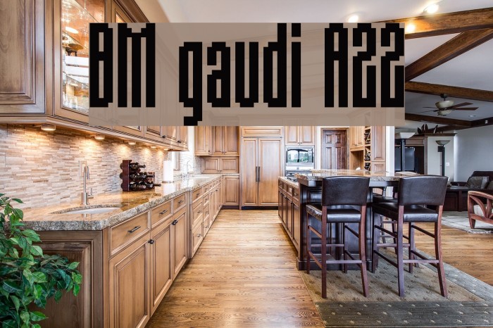 BM gaudi A22 Font examples