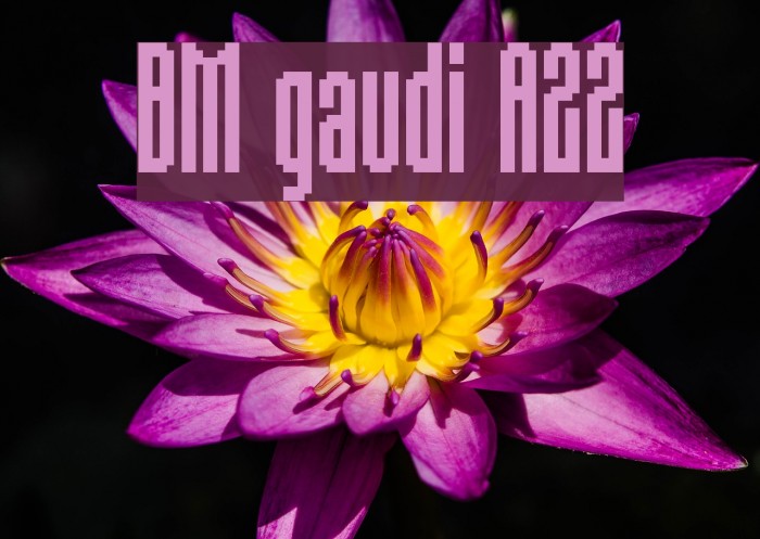 BM gaudi A22 Font examples