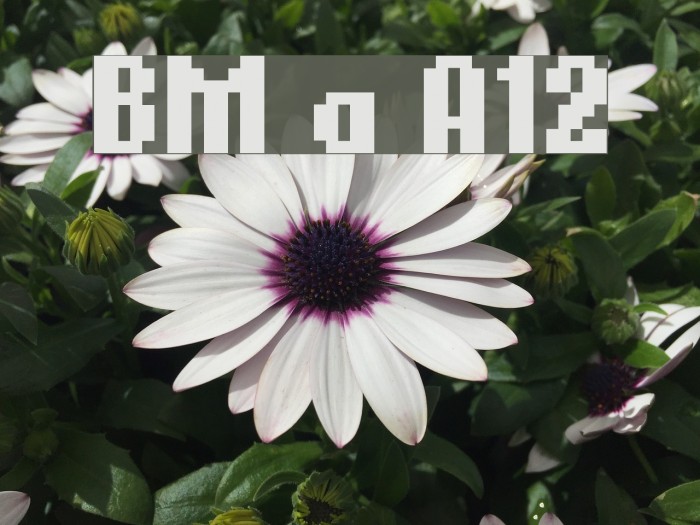 BM germar A12 Font examples