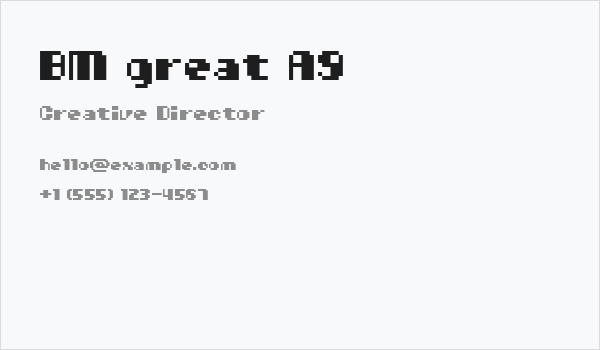 BM great A9 Business Card