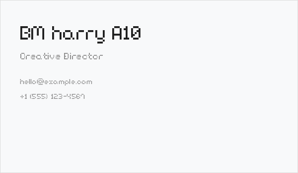 BM harry A10 Business Card