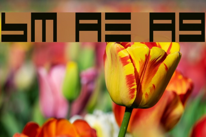 BM maze A9 Font examples
