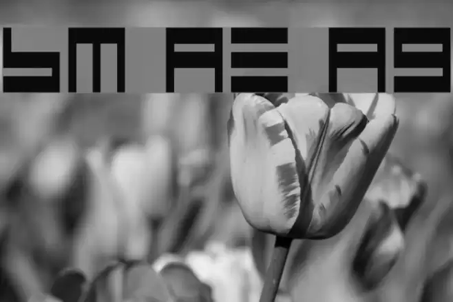 BM maze A9 Font examples