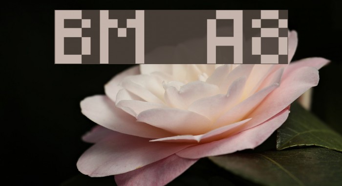 BM mini A8 Font examples