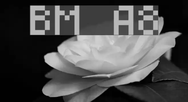 BM mini A8 Font examples