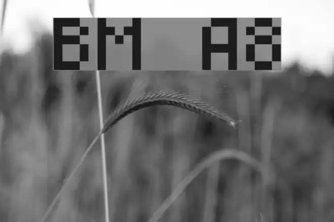 BM mini A8 Font examples