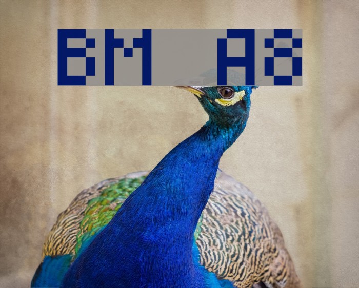 BM mini A8 Font examples