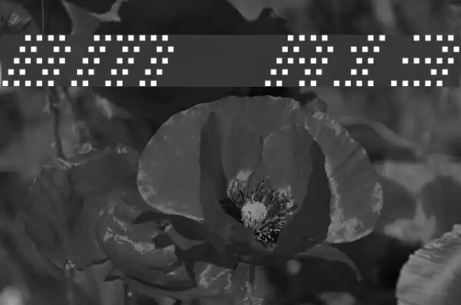 BM pinhole A13 Schriftart examples