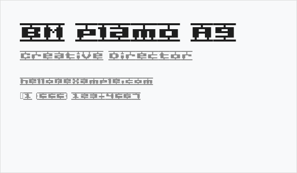 BM plamo A9 Business Card