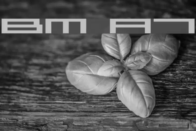 BM press A7 Font examples