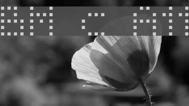 BM receipt A11 Font examples