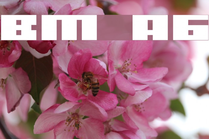 BM rizer A6 Font examples